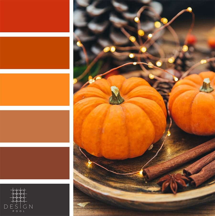 Цветовые Палитры Сидс