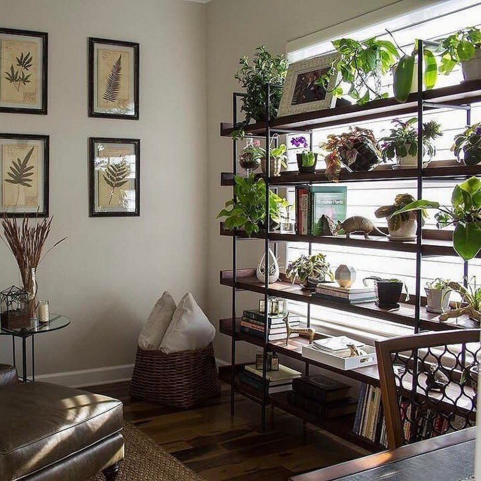 Растения в интерьере квартиры