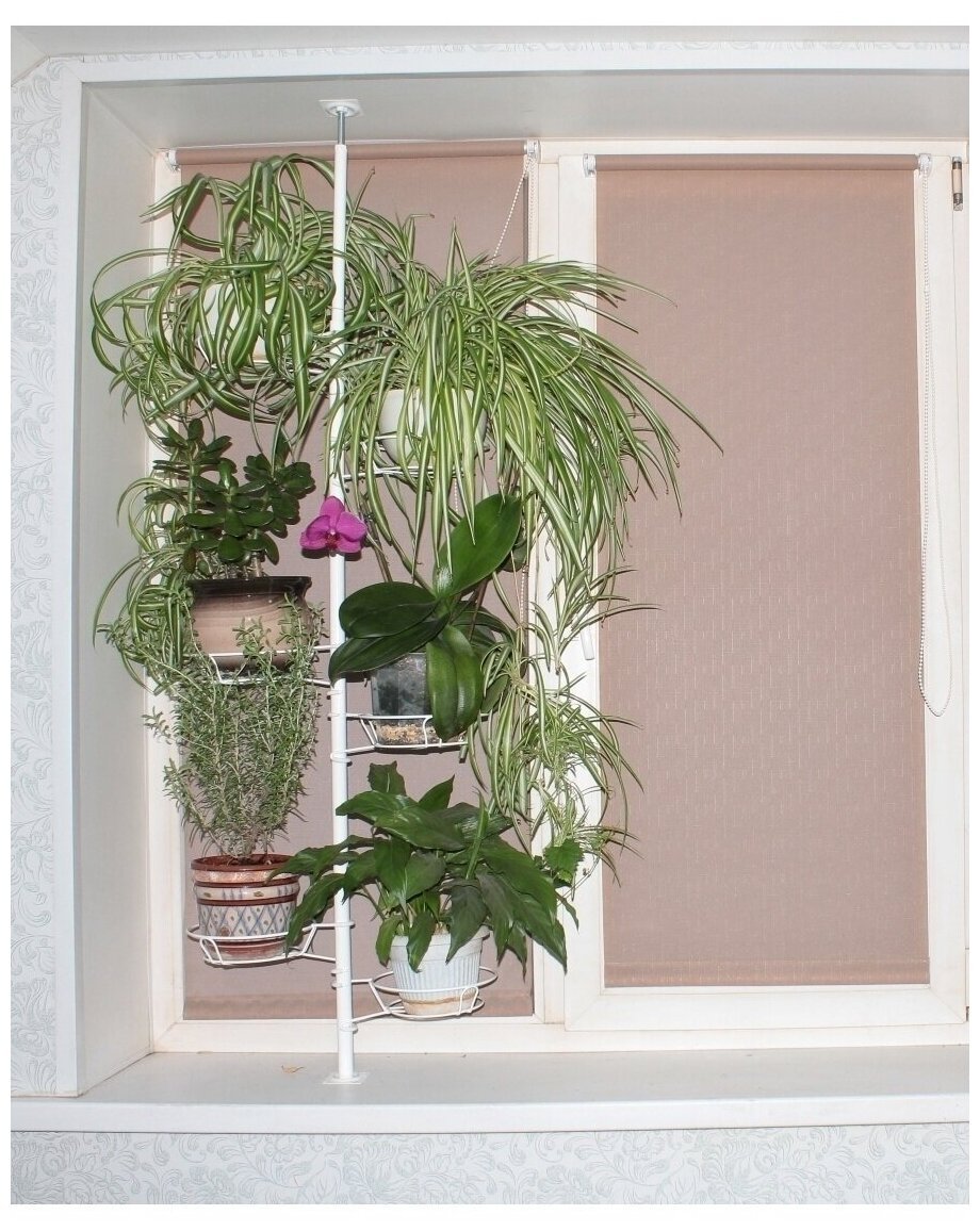 Угловая подставка для цветов Акация на 7 горшков