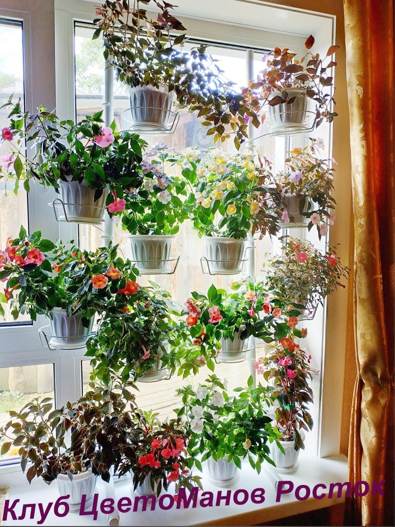 Подставка на подоконник фиалка 7 горшков 1 белая