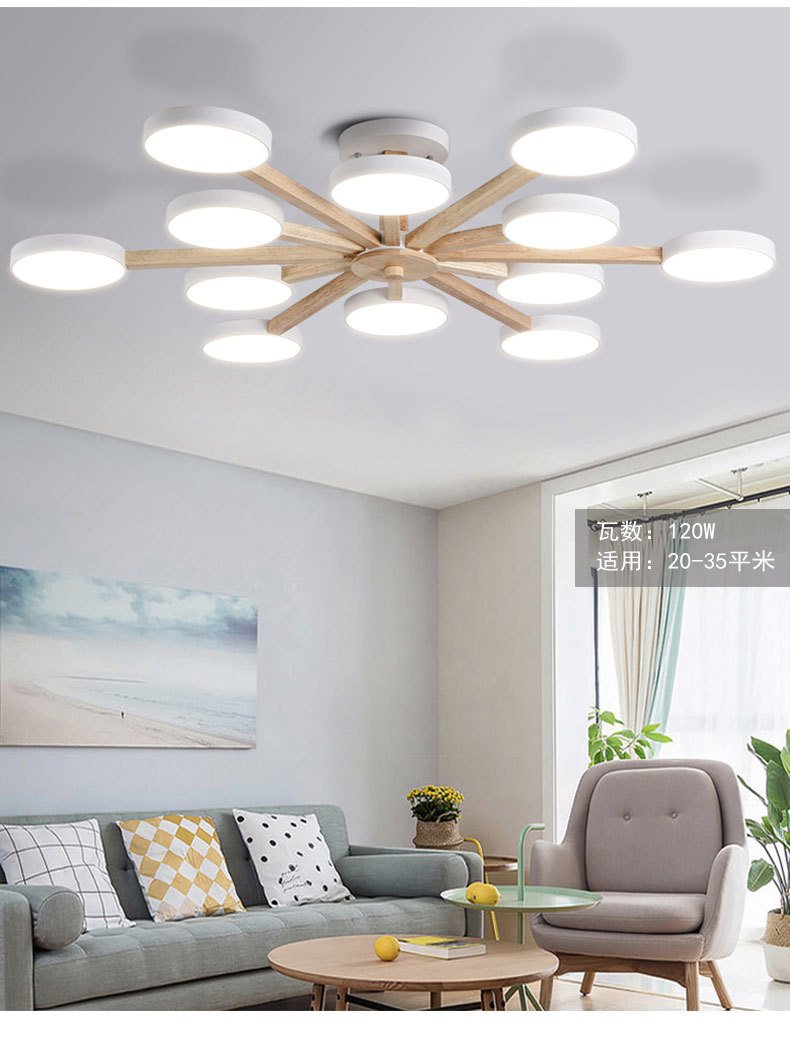 Потолочный светодиодный светильник Sunny Lighting 857