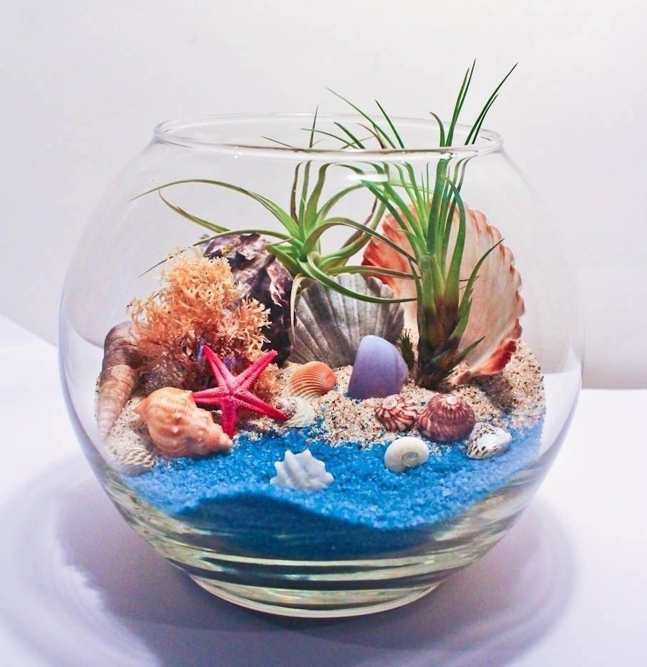 Флорариум морской берег