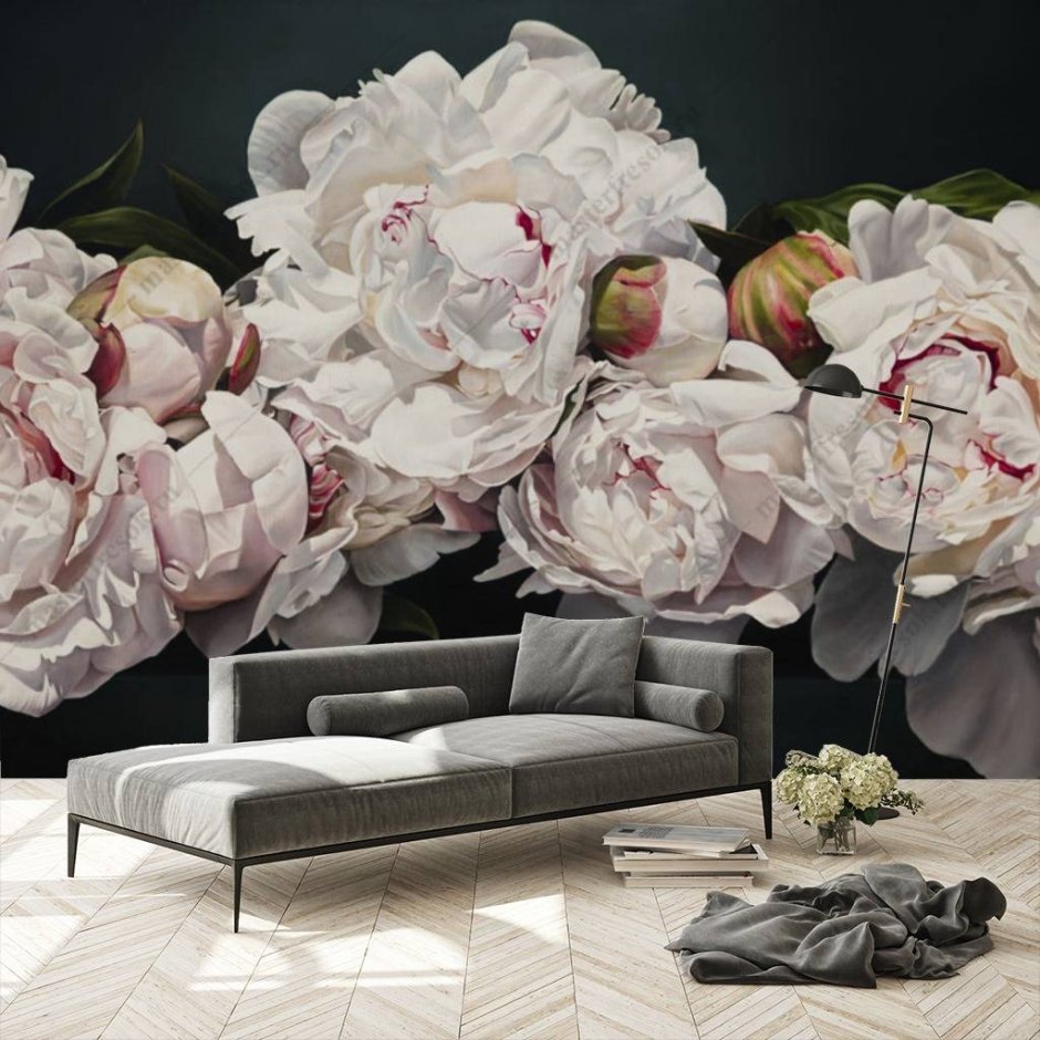Постер белые пионы