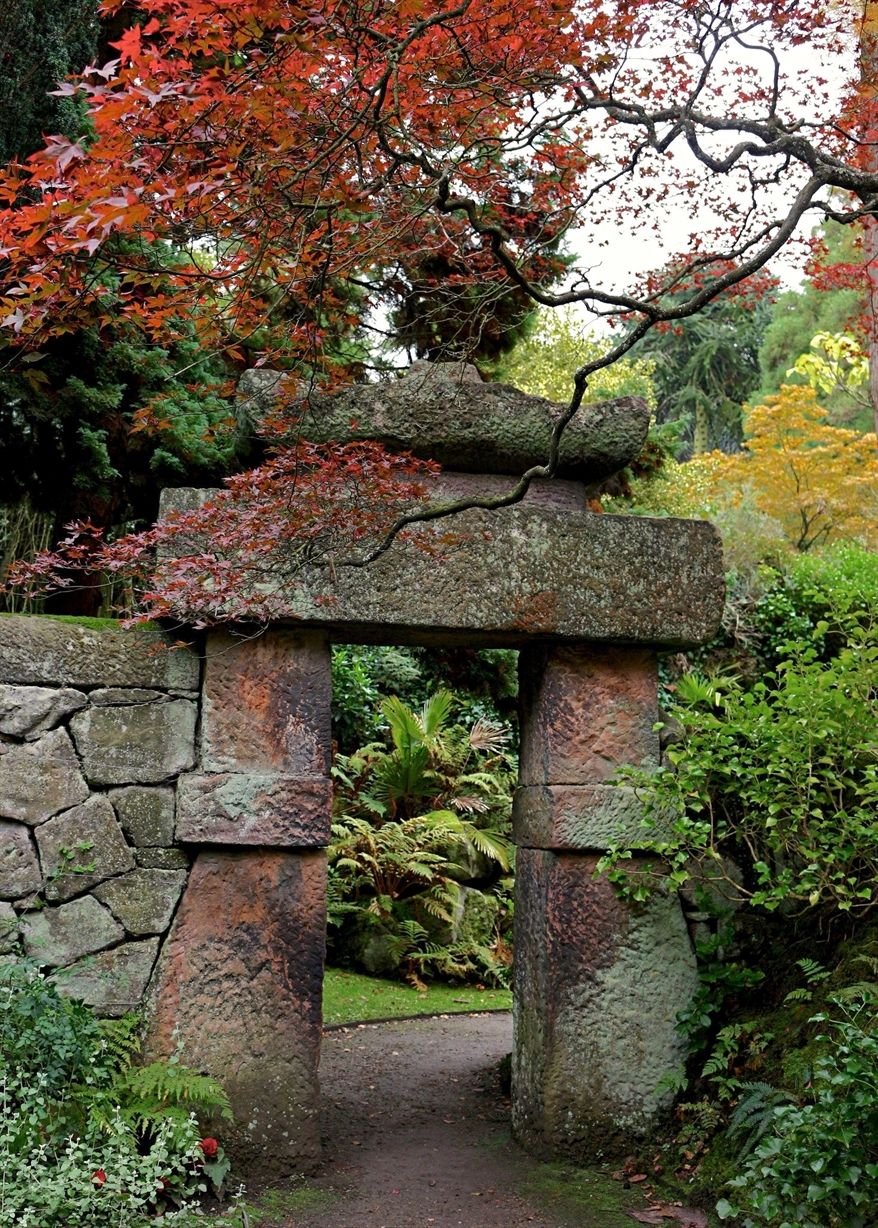 Японские арки Тори в саду