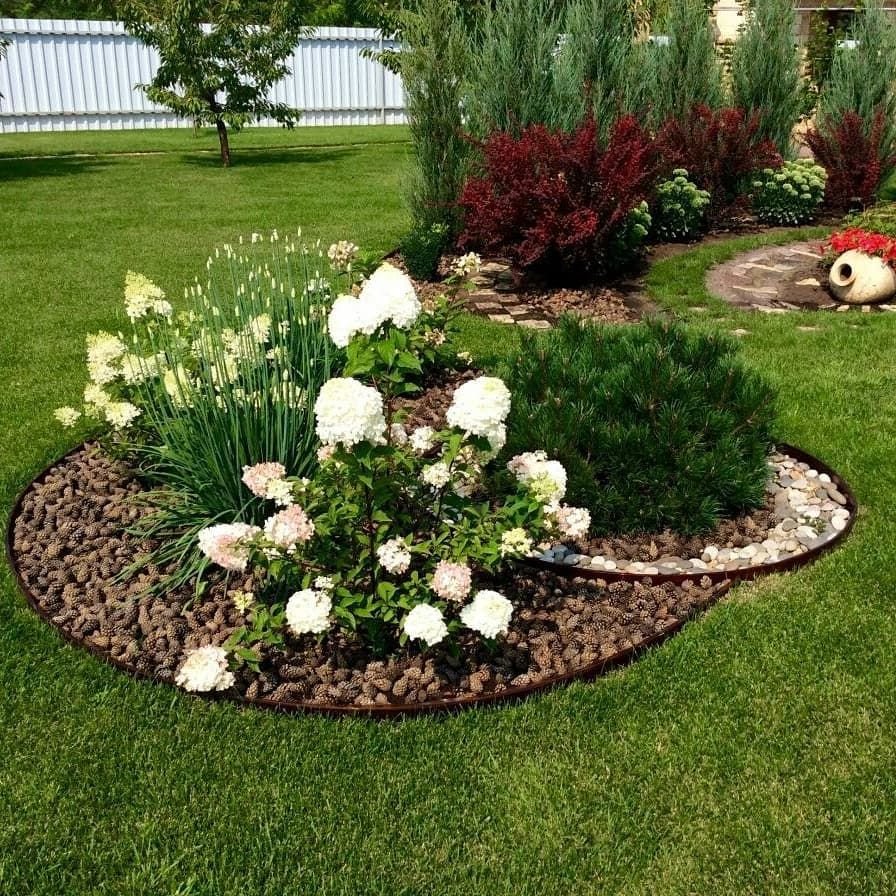 Мульчирование приствольного круга туи