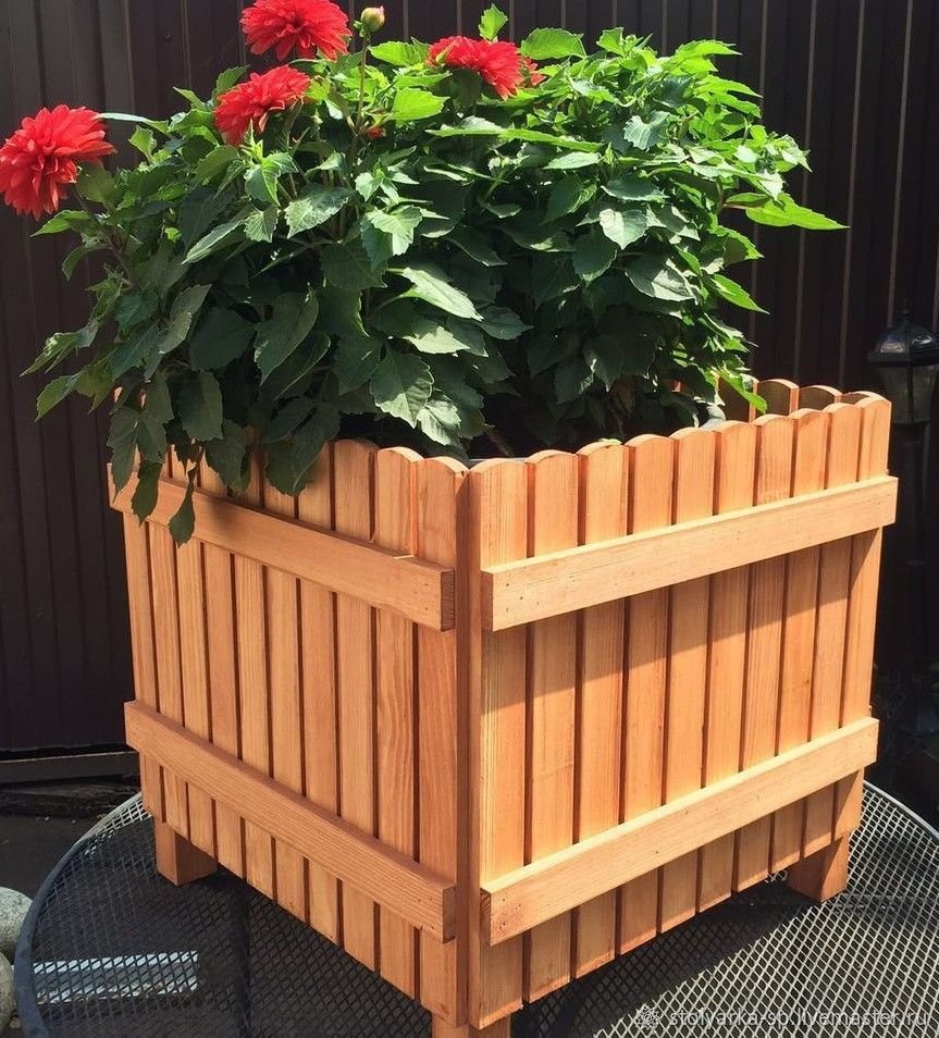 Декоративные клумбы