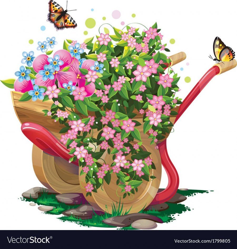 Клумба рабатка рокарий миксбордер