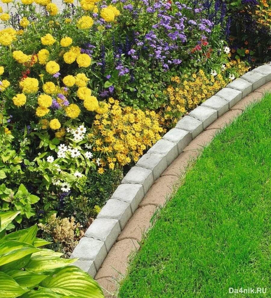 Клумба, Солитер, бордюр…