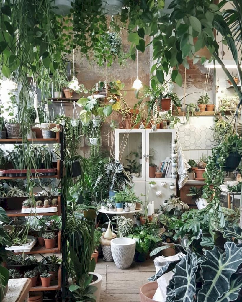 Комнатная оранжерея