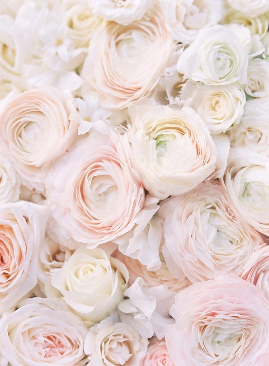 Пионовидная роза светлая