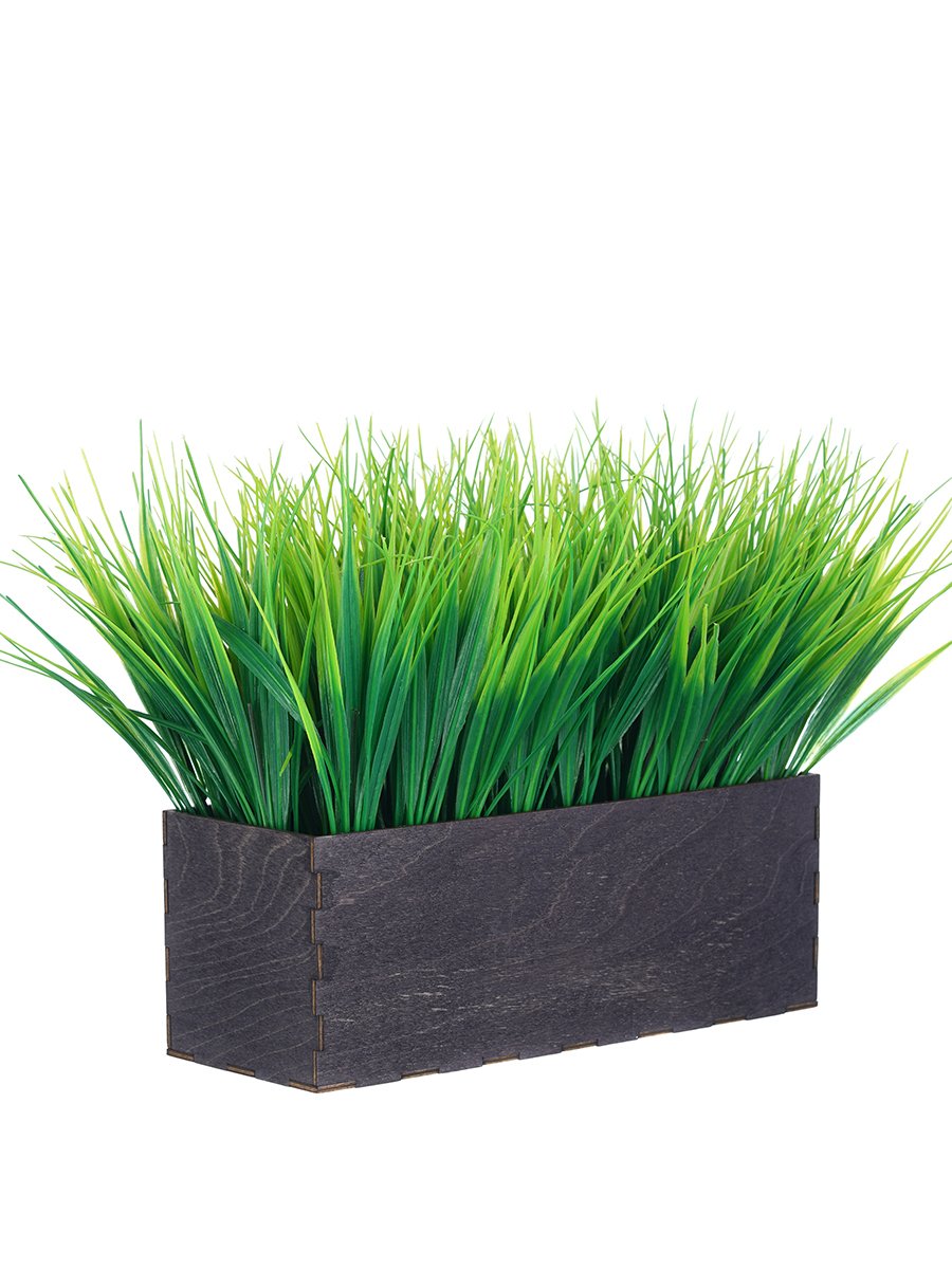 Декоративная травка в горшках