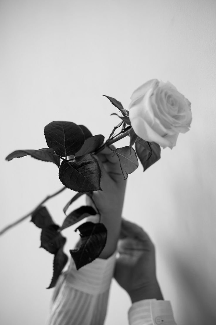 Чёрно-белая Эстетика