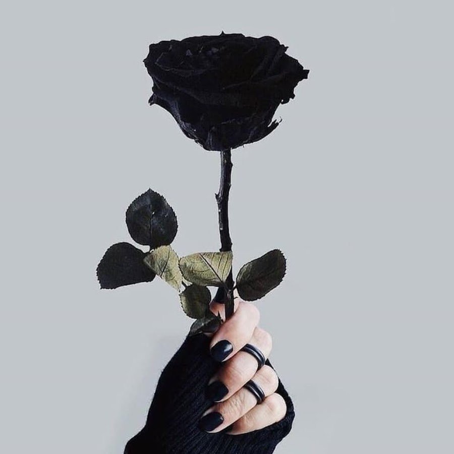 Эстетика чёрного цвета