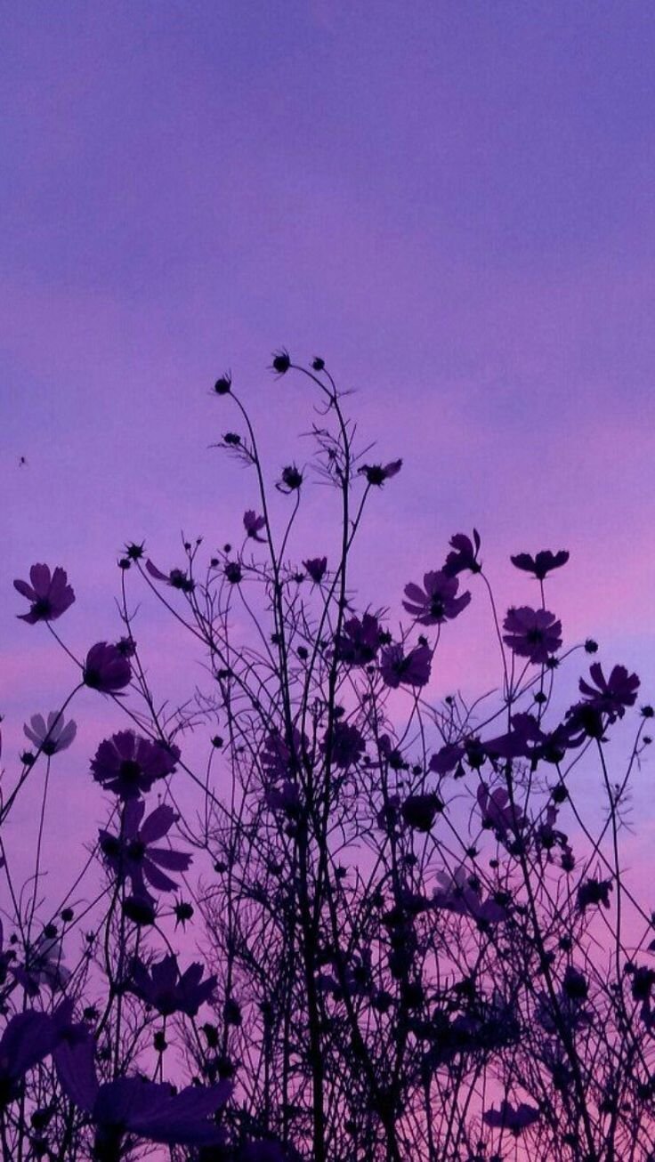 Фиолетовые цветы Эстетика