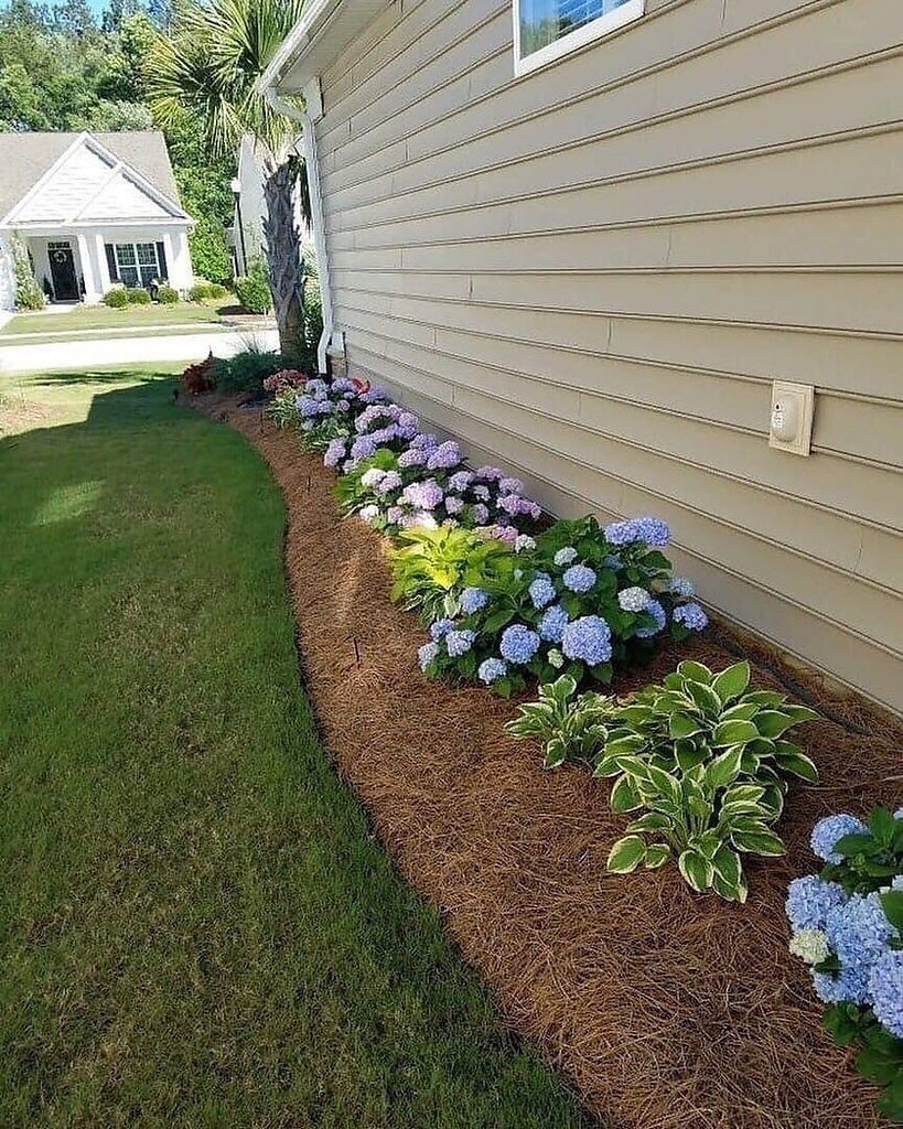 Цветник вдоль забора