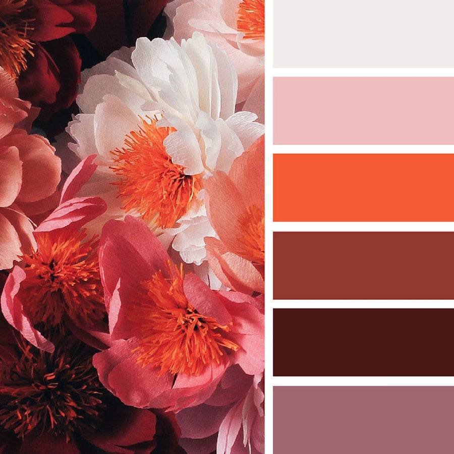 Цветовая палитра Color.romanuke