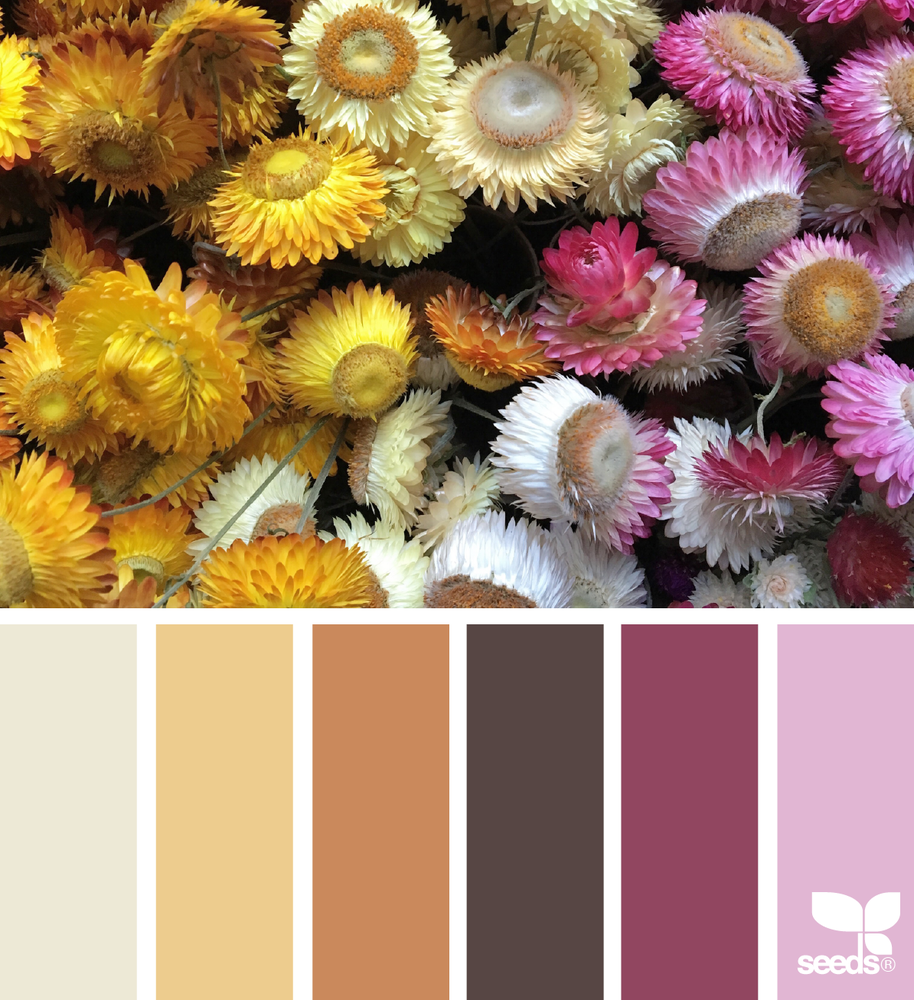 Палитры Сидс жёлтый