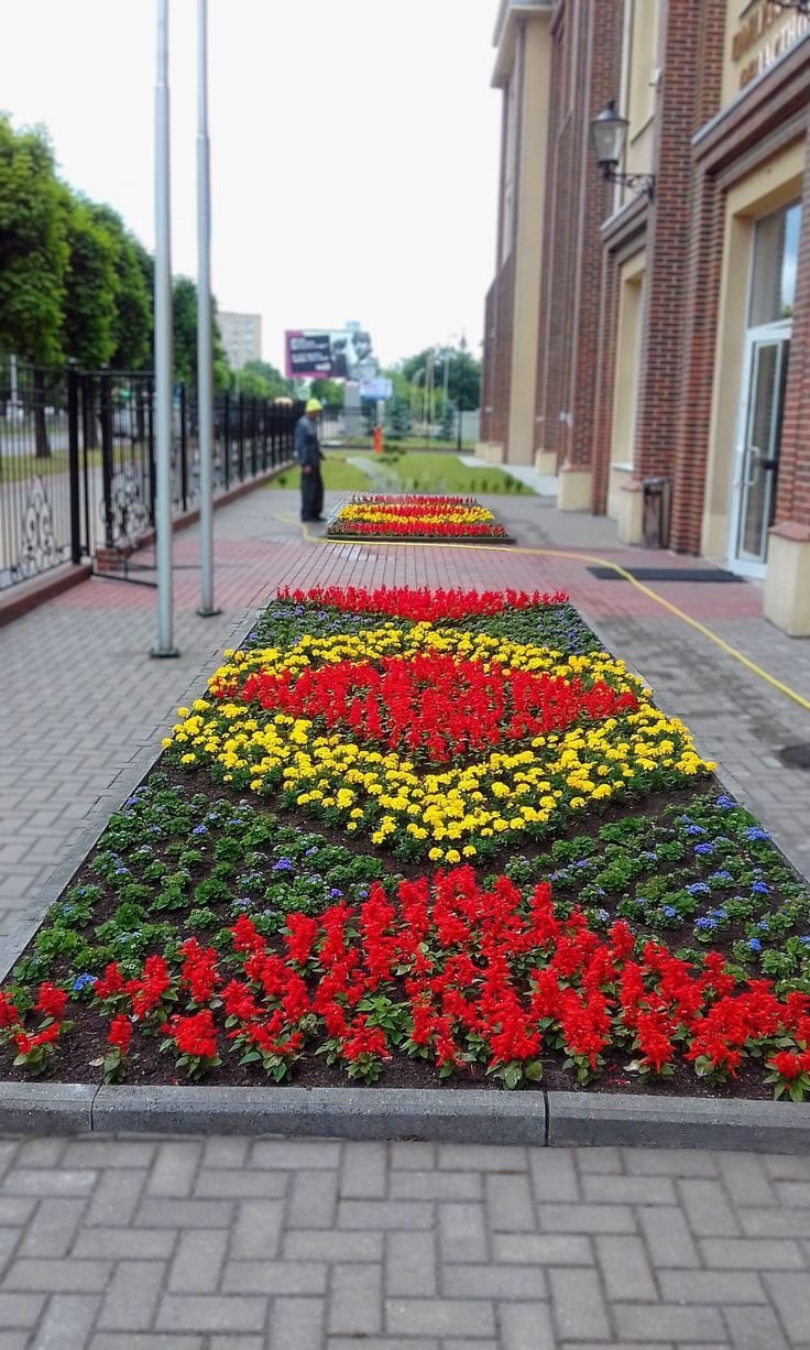 Рабатка Версаль