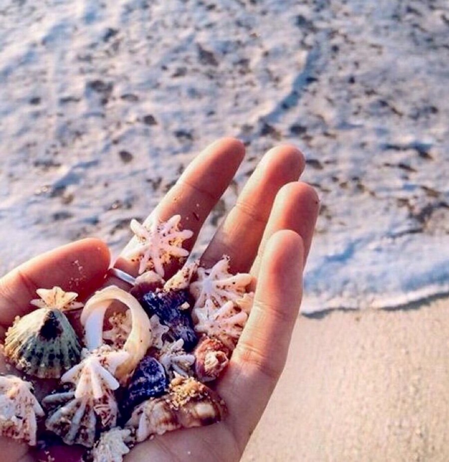 Феодосия ракушечный пляж