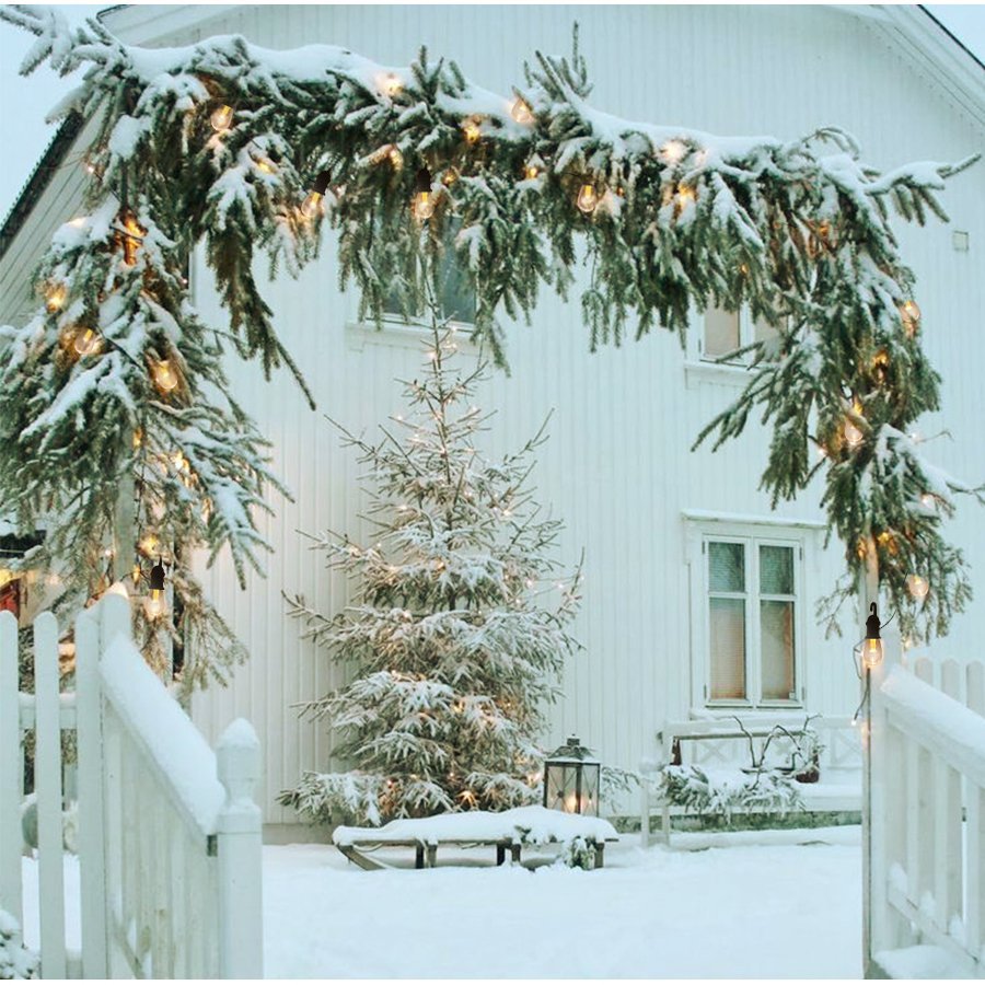 Красивый сад зимой