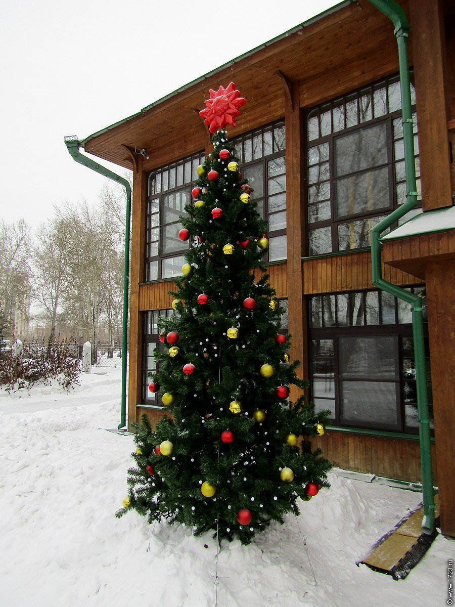 Новогодняя елка во дворе