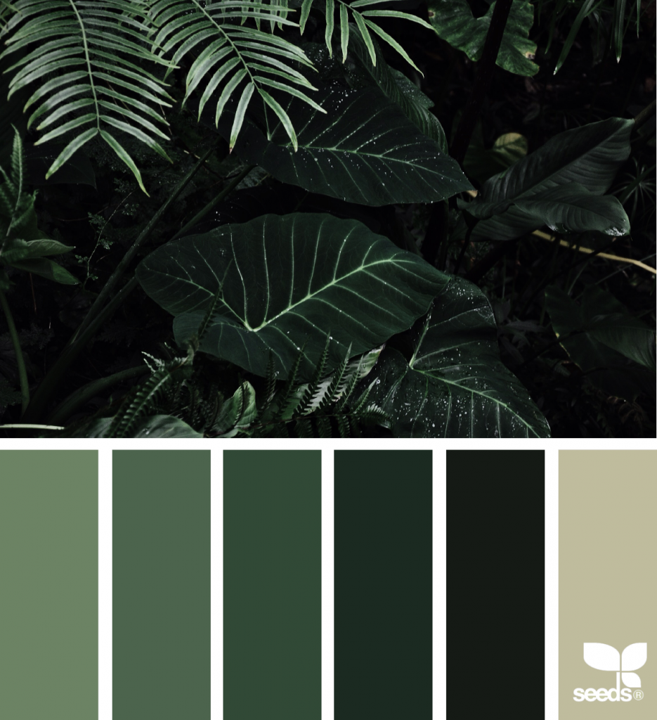 Цветовая палитра джунгли