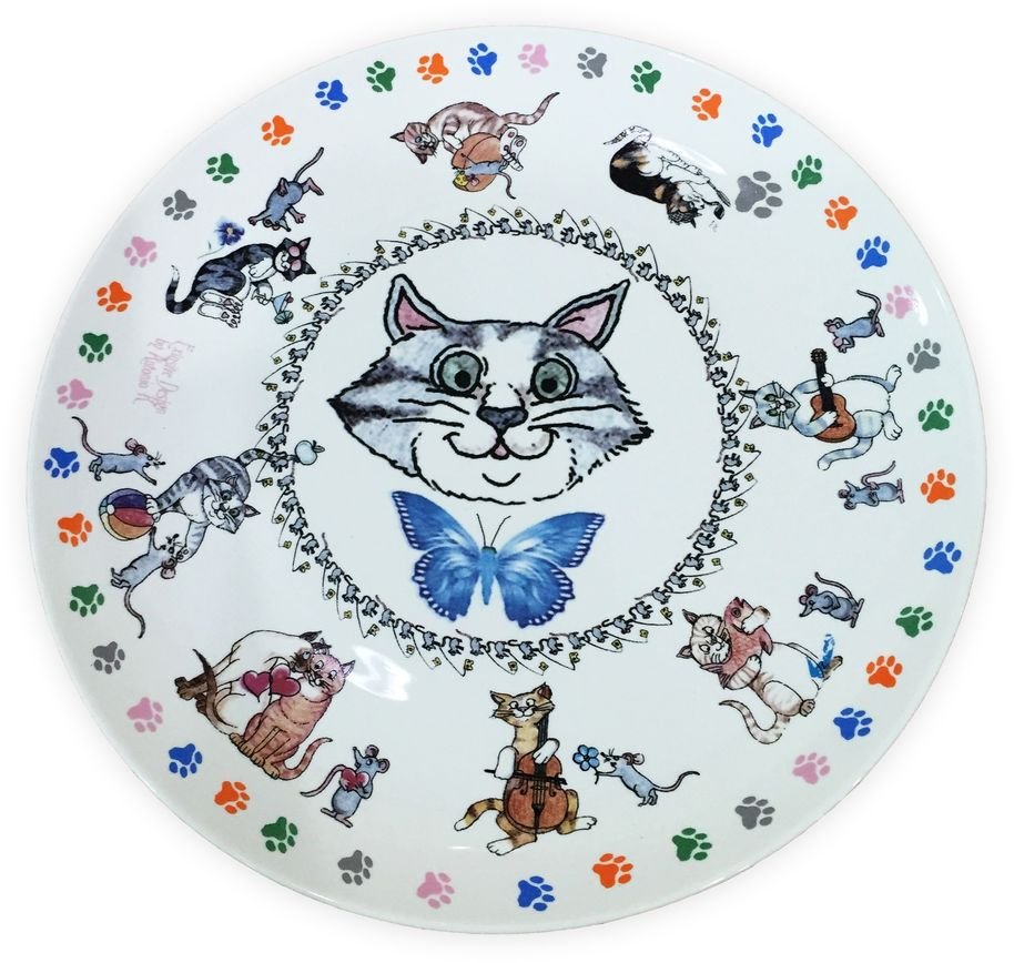 Котик в тарелочке