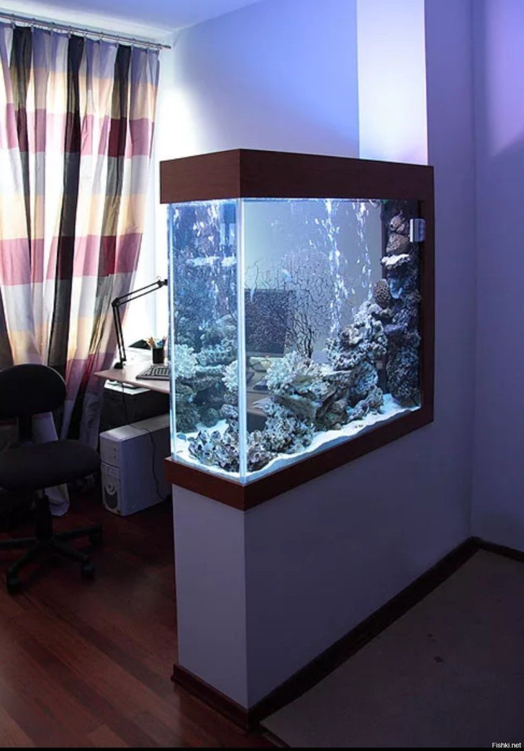 аквариум в стенке гостиной