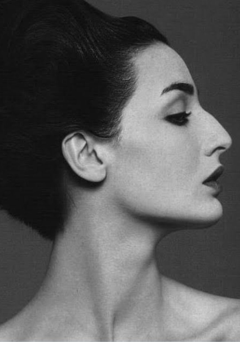 Греческий нос с горбинкой