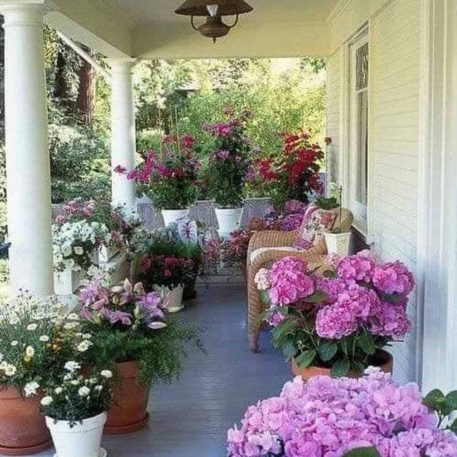 Цветы для террасы в горшках