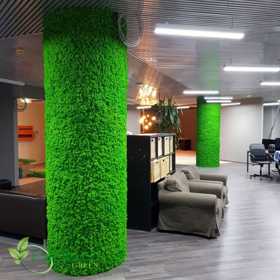 Фитостена Эмеральд Грин