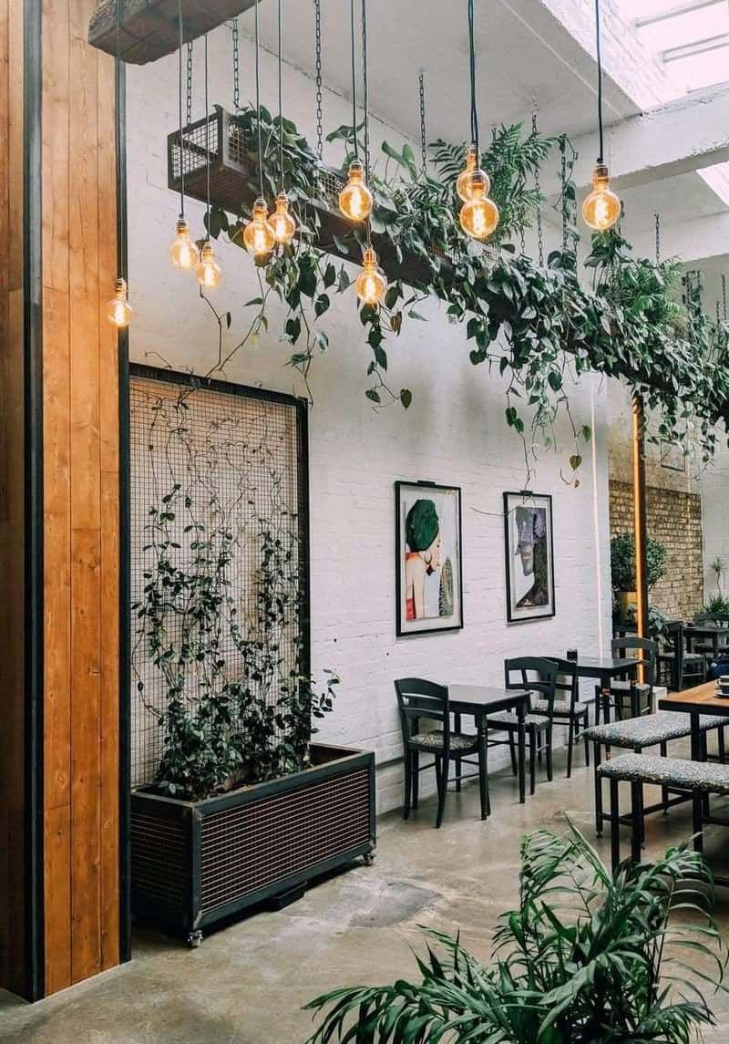 Интерьер кафе с растениями