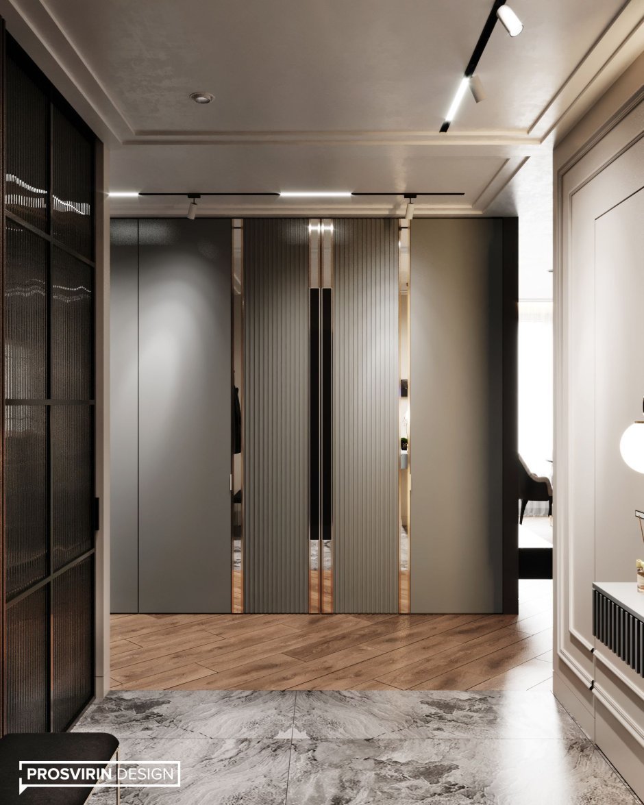 Шкаф в прихожую Мистер Дорс