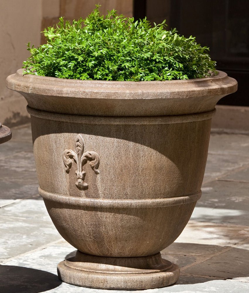 Вазон Акант (Dominican Garden)