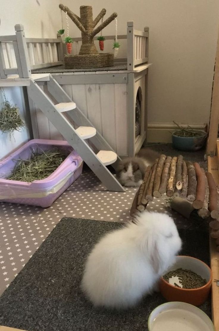 Домики для домашних кроликов