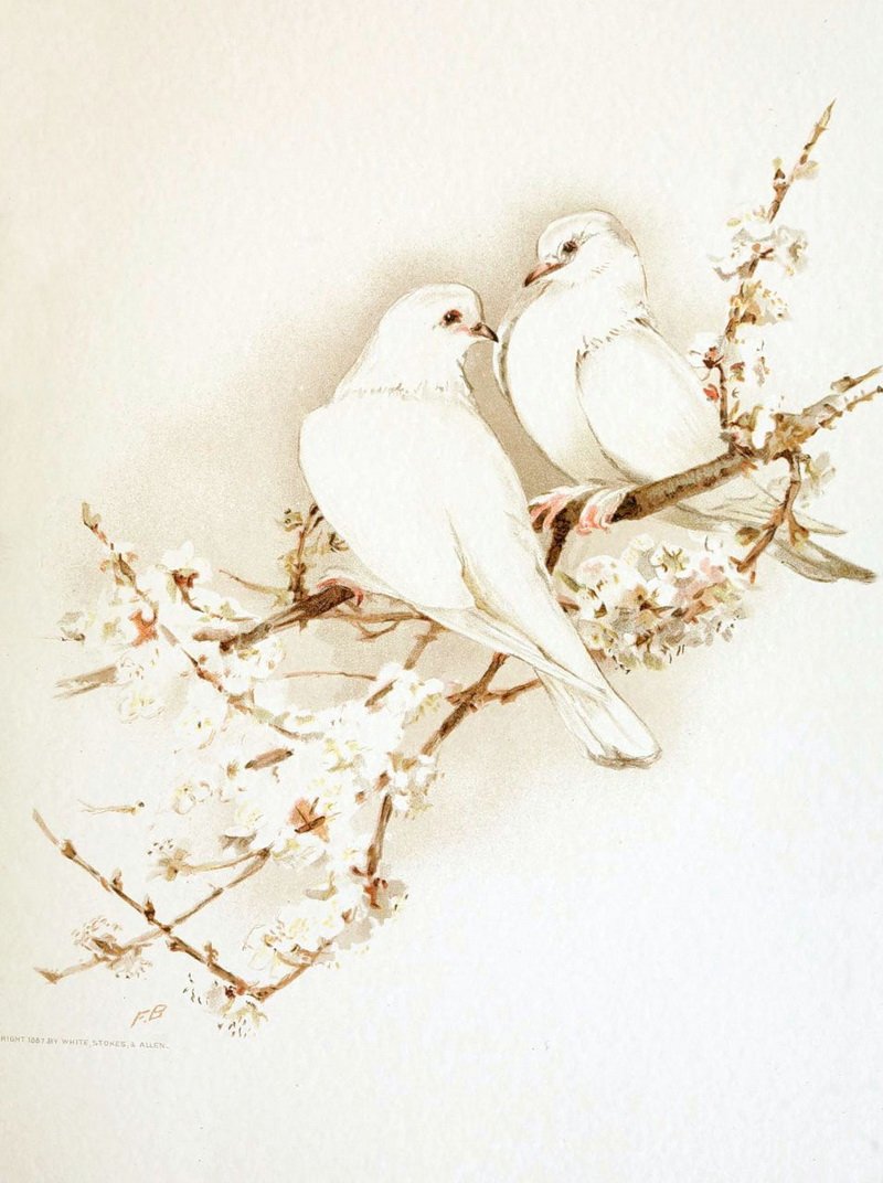 Живопись в пастельных тонах