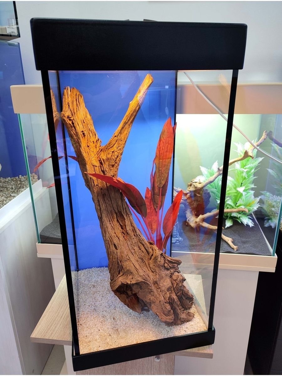 Аквариум колба колонна