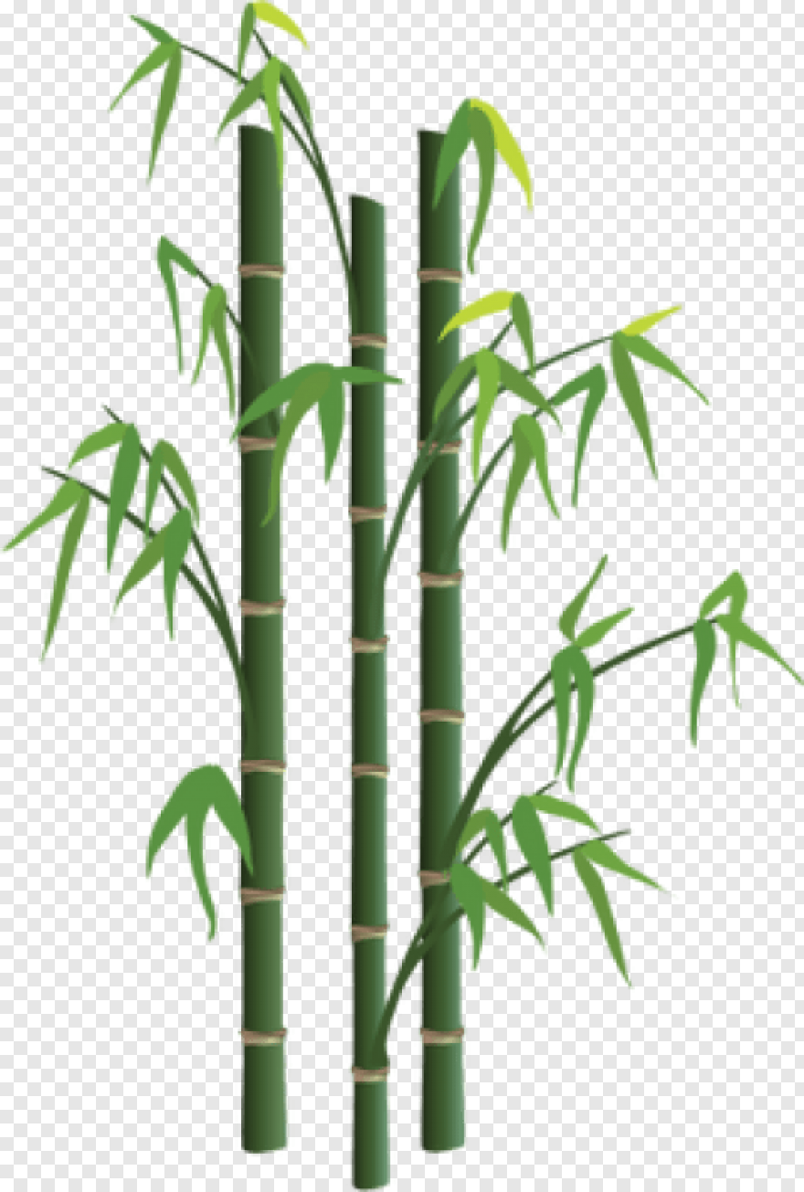 Три бамбука