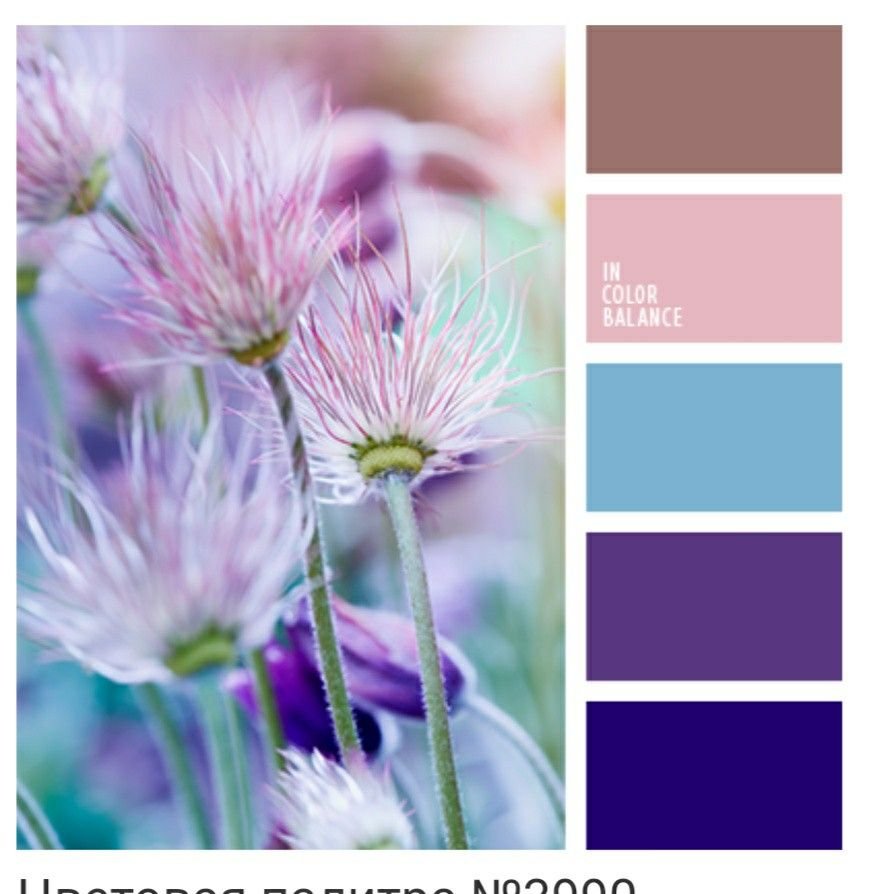 Лавандовый и голубой сочетание