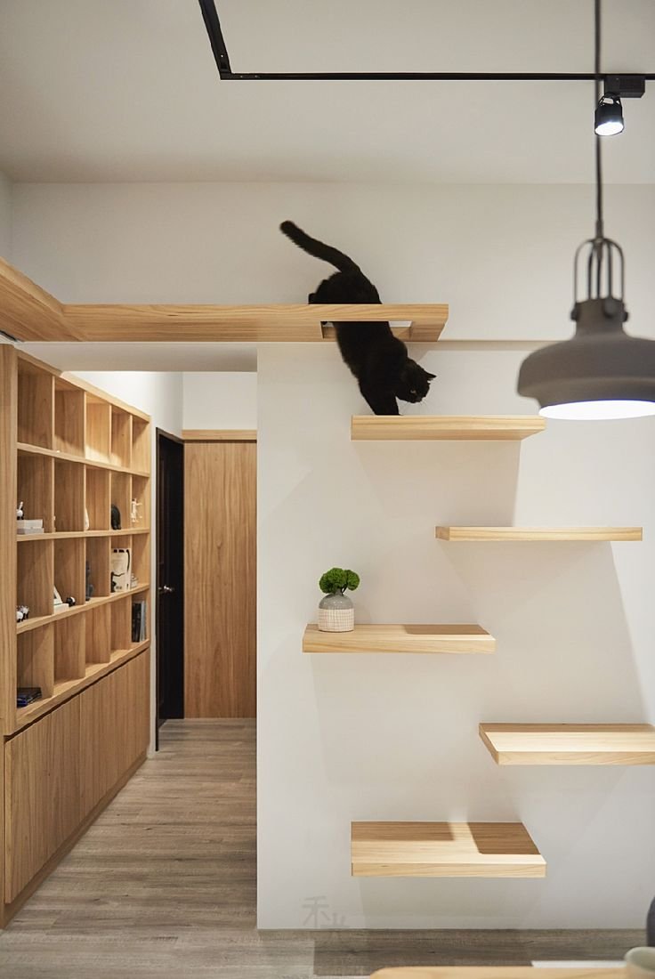 Полки для кошек на стену