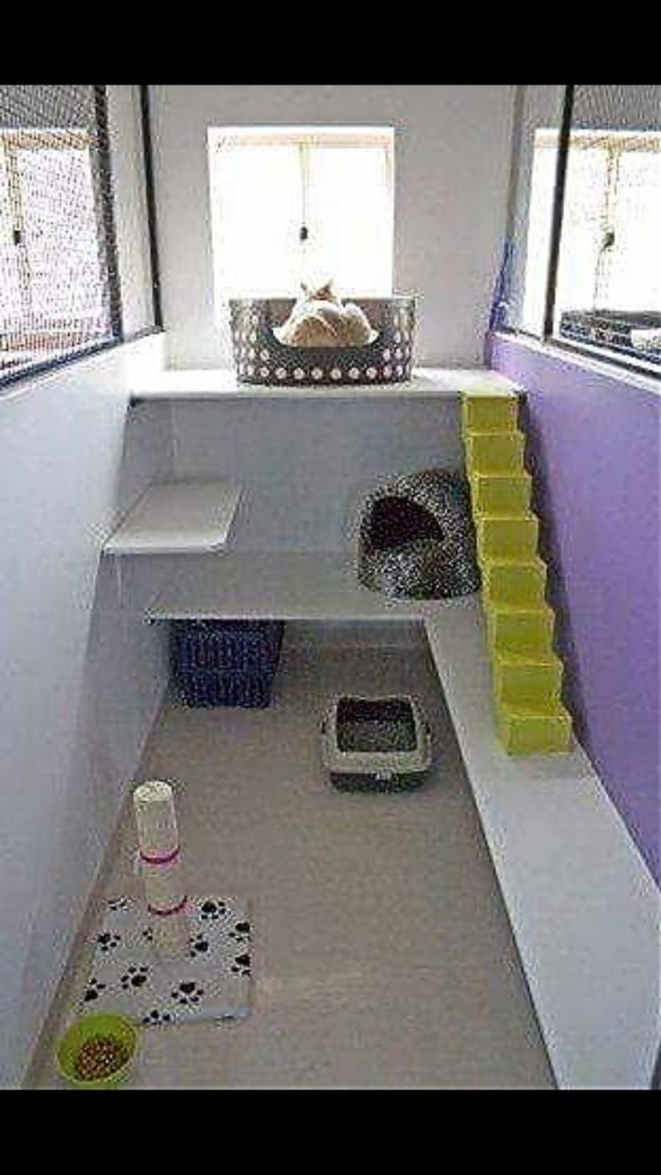 Комната для 2 кошечек