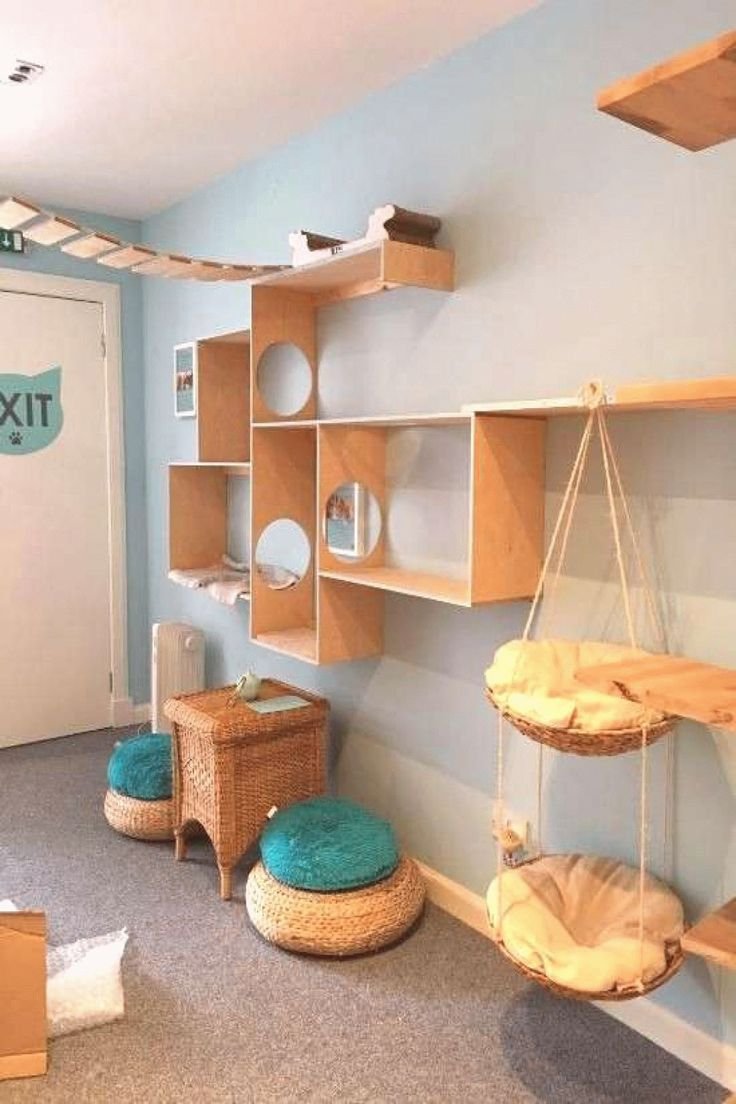 Комната для кошек