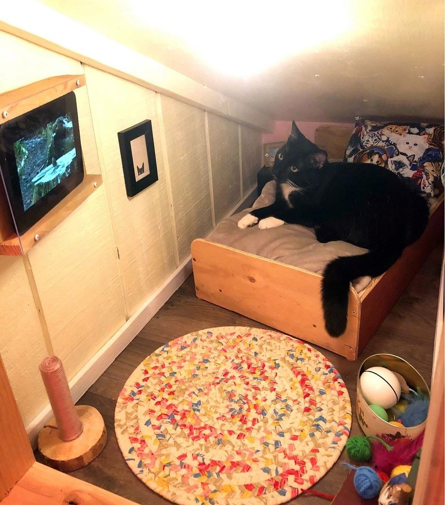 Спальня для кошки