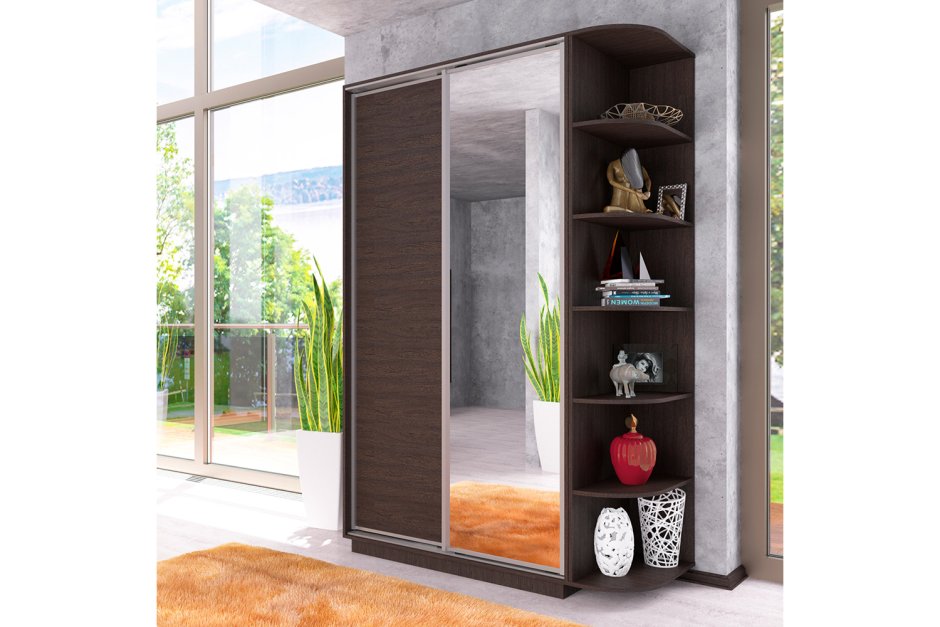 Шкаф купе Ника 3