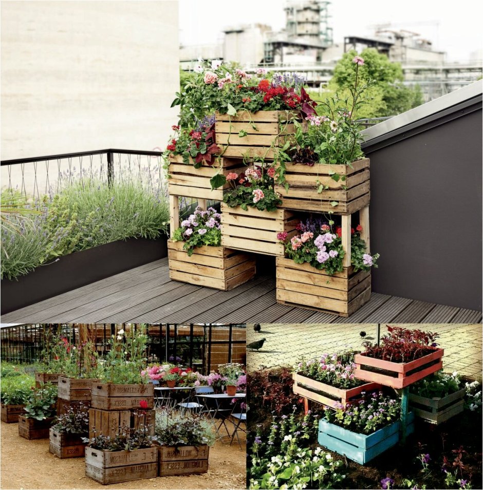 Идеи для сада и огорода