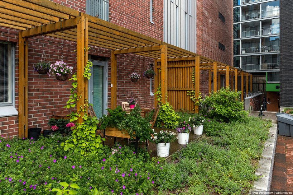 Варламов придомовая территория