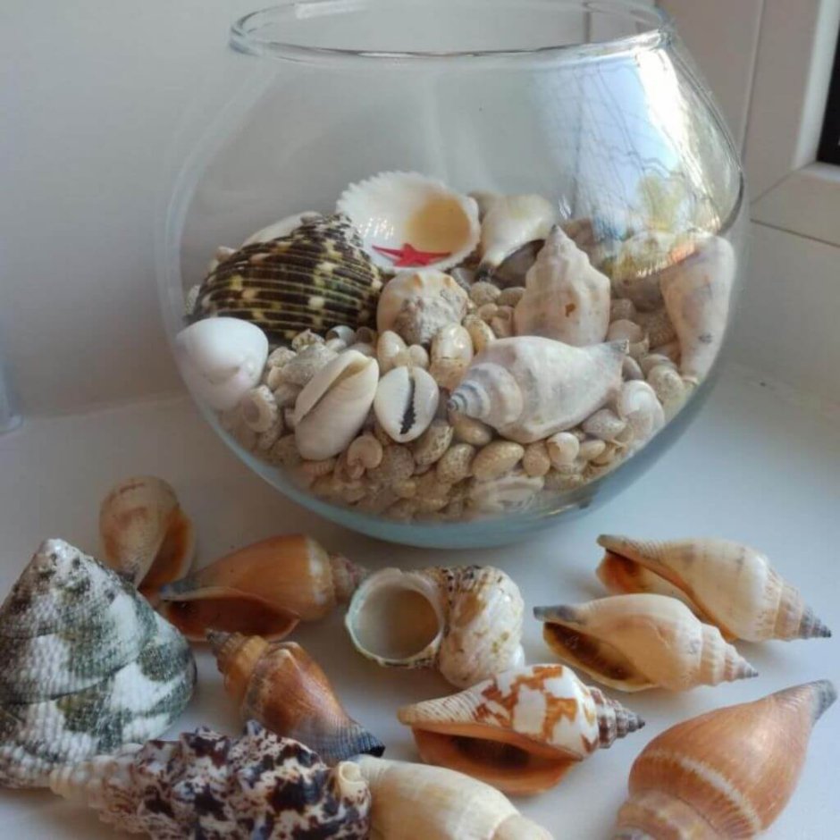 Вазы декорированные ракушками