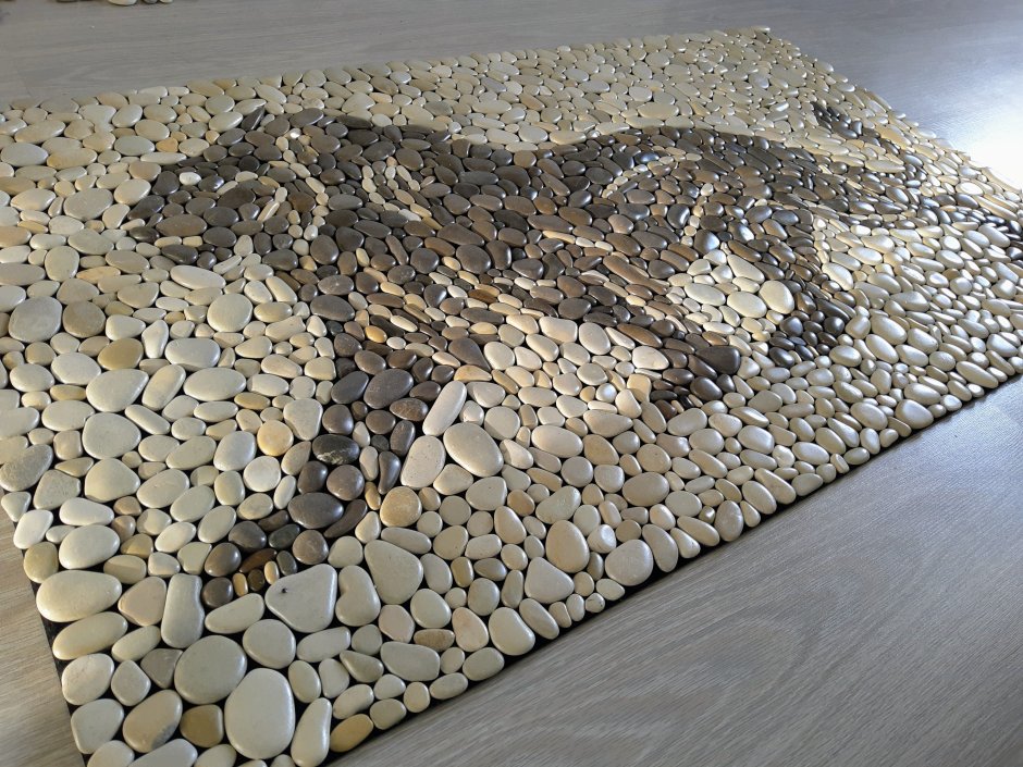 Ракушки в декоре интерьера