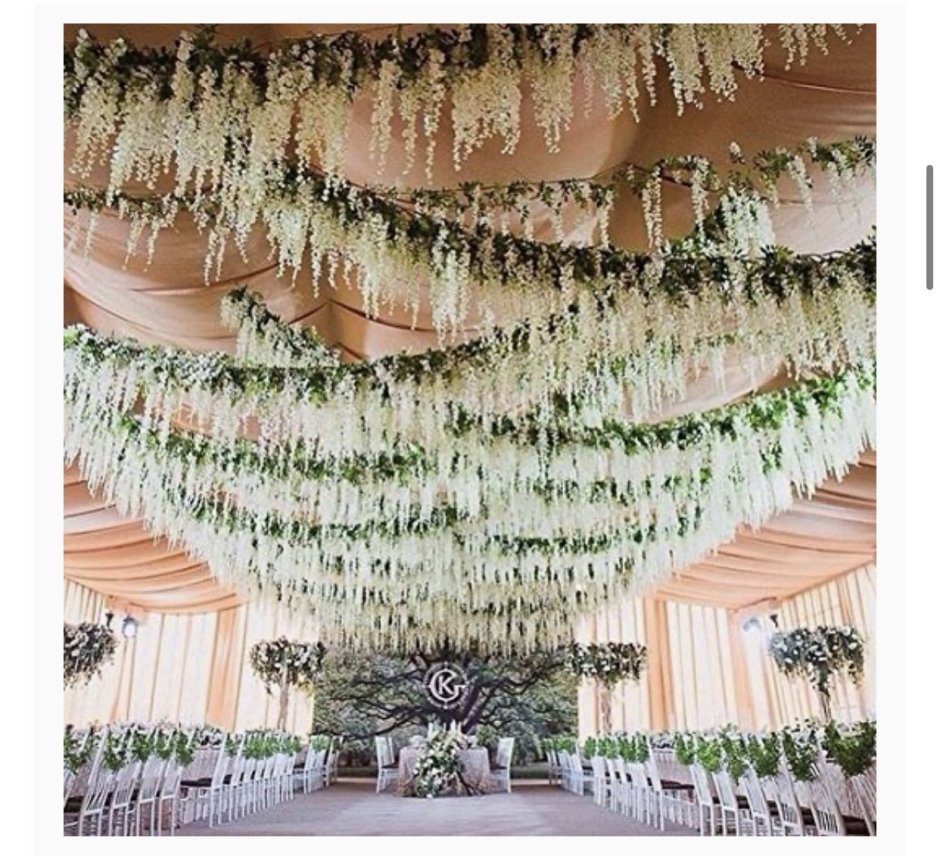 Плющ на стене декор