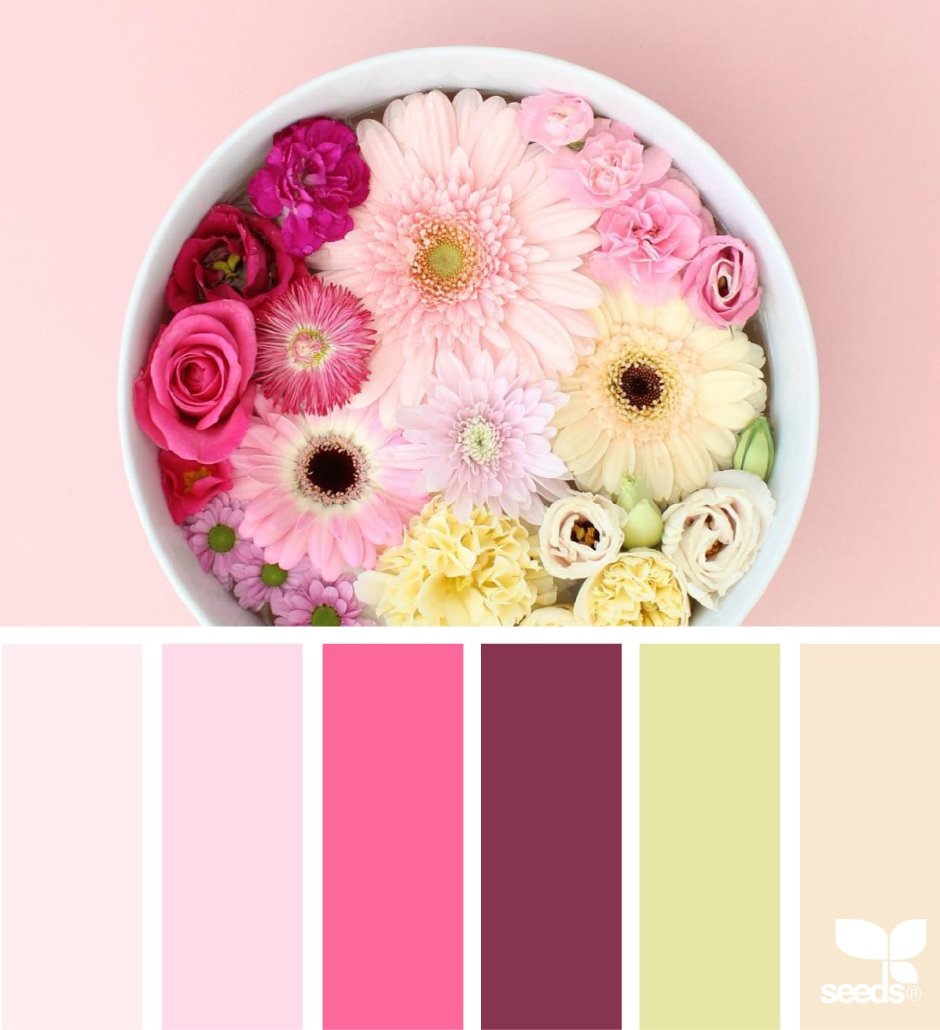 Сочетание цветов